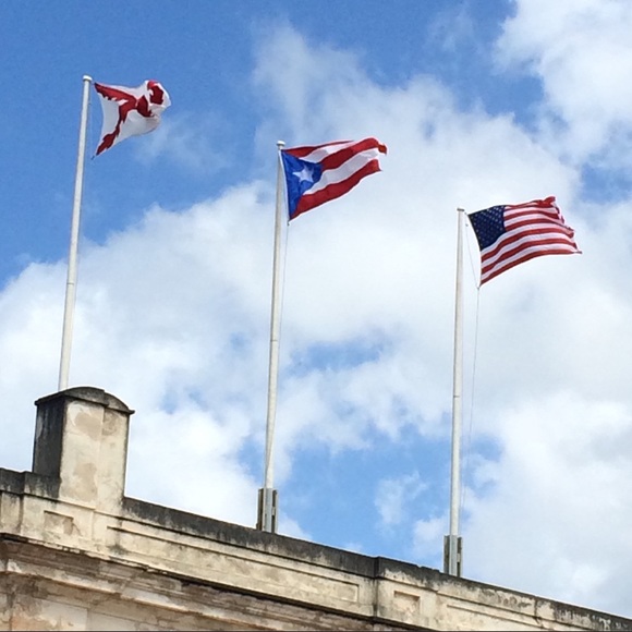 Meet your Posher, Jeannette - Picture 7 of 8